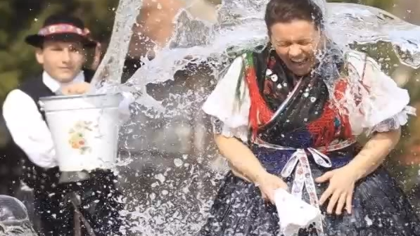 Obraz