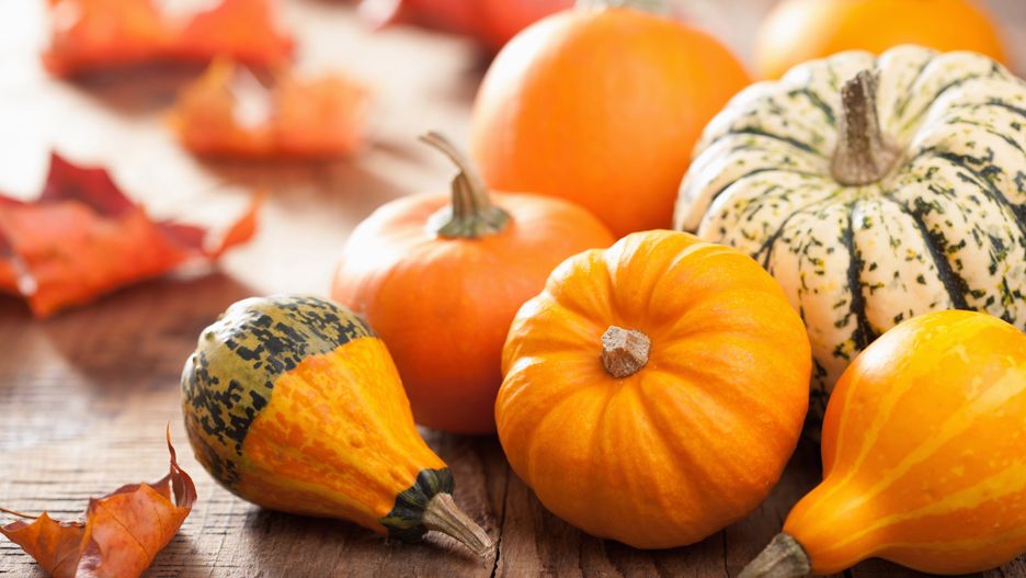 Dynia to królowa jesieni