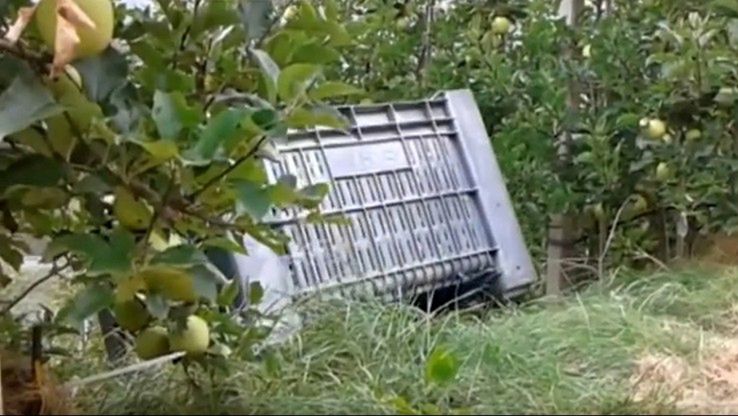 W przestępstwie pomagał 32-letni Polak