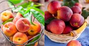 Brzoskwinie a nektarynki. Co jest lepsze i zdrowsze?