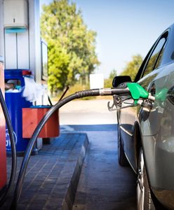 Wakacje za pasem, a paliwa nie drożeją