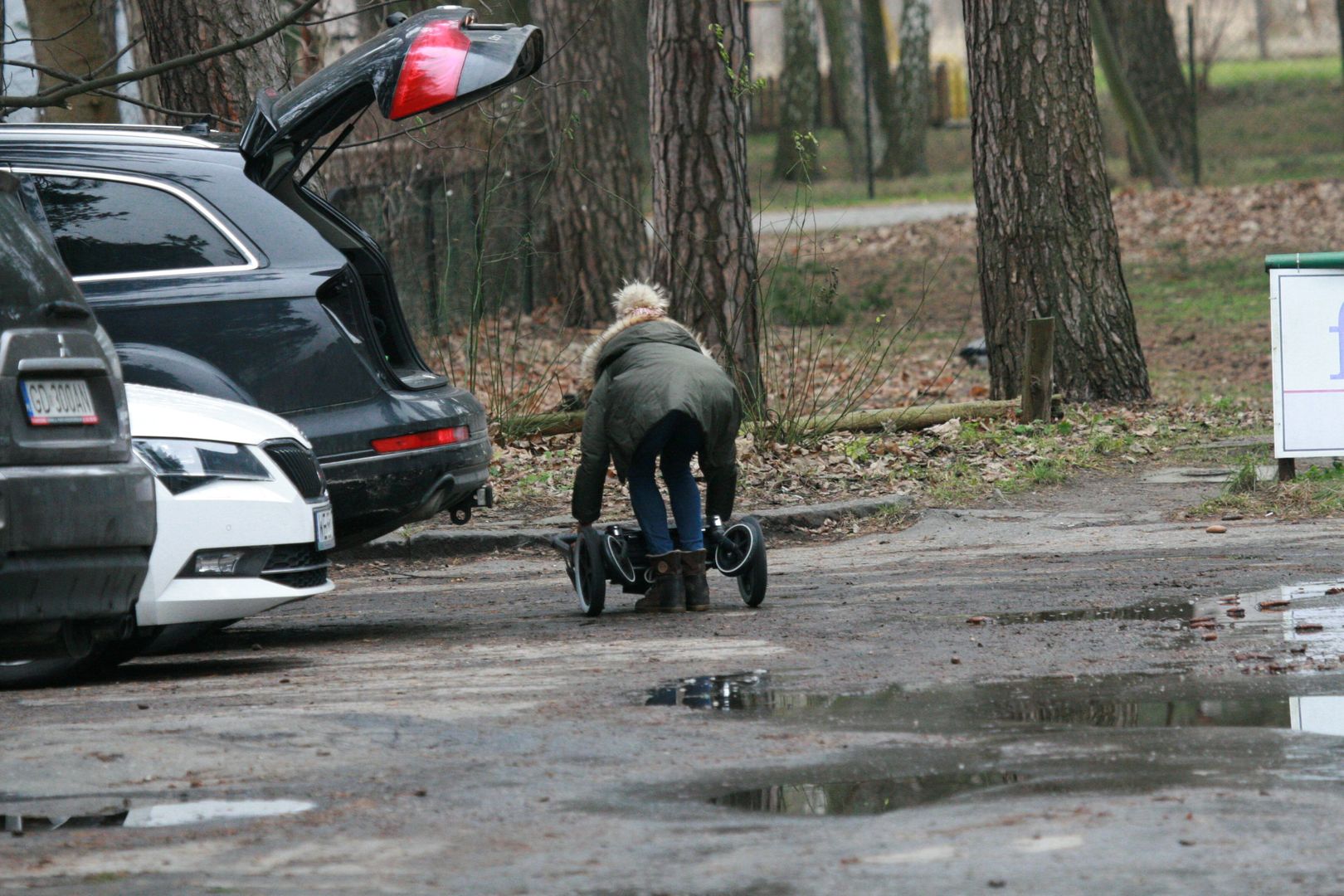 "Wózek gwiazd" kontra Kaczyńska