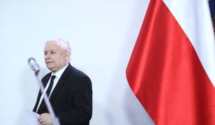Jarosław Kaczyński zapowiada ofensywę PiS, ale zaznacza: "nie możemy być jak te tłuste, zadowolone z siebie koty"