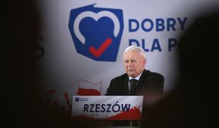 Jarosław Kaczyński w Rzeszowie: jeżeli chcemy mieć normalne związki, musimy te wybory wygrać