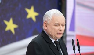 Konwencje i konferencje. Sobota pracująca czterech ugrupowań