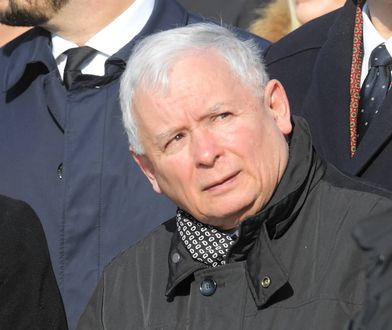 Tylko w WP. Kaczyński musi być przesłuchany. Tak uważa większość Polaków (Badanie)