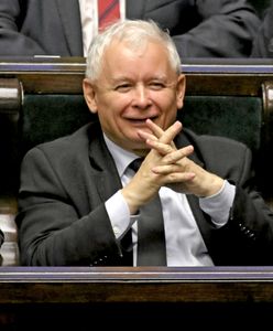 Złoty najmocniejszą walutą świata. Wielki kapitał zaufał PiS