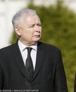 Jarosław Kaczyński do Beaty Szydło: pokaż proszę pazurki