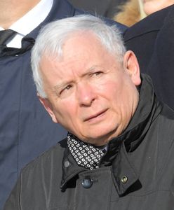 Tylko w WP. Kaczyński musi być przesłuchany. Tak uważa większość Polaków (Badanie)