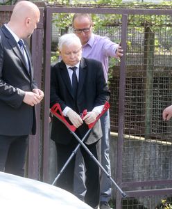 Polacy nie chcą, by politycy mieli lepszą opiekę zdrowotną. Mają Kaczyńskiemu za złe sytuację z kulami