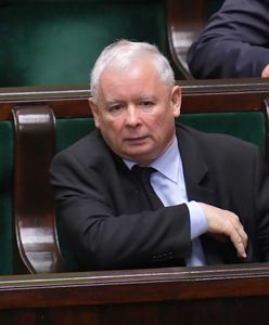 Wiktor Świetlik: "Święty spokój i jego wrogowie. Przed PiS ogromne wyzwanie" (Opinia)