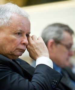 Wybory do europarlamentu 2019. Spór w PiS o film Sekielskiego. "Tylko nie mów nikomu" podzielił wyborców