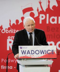 Wybory parlamentarne 2019. 500 plus kartą przetargową rządu. Opłacało się "straszyć"