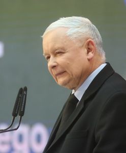 Echa konwencji PiS. Władza ofiarą zawyżonych oczekiwań, Kaczyński walczy o internautów