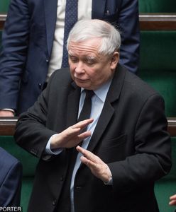 Wybory parlamentarne 2019. PiS zaostrzy prawo? Wprowadził "trumienkowe", teraz chce zakazać aborcji "eugenicznej"