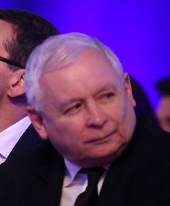 PiS deklasuje rywali. Nowy sondaż i wzrost notowań partii Jarosława Kaczyńskiego