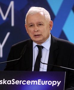 Wybory do europarlamentu 2019. Krakowska konwencja PiS. Oglądaj na żywo