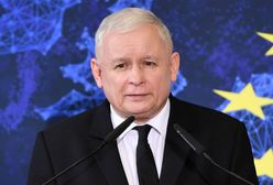 Koziński: "PiS nie może zawrócić. Wie, że jak przegra, nie będzie czego zbierać" (Opinia)