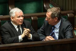 To Jarosław Kaczyński uratował łosie. Prezes PiS wstrzymał decyzję Jana Szyszki