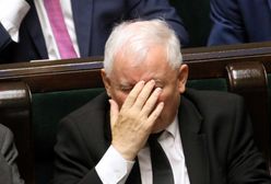 Majmurek: Wygrał Tomasz Grodzki. Dla Kaczyńskiego "nowe" w Senacie to jak cierń w łapie lwa (OPINIA)