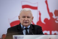 Donald Trump przełożył wizytę w Polsce. "Doszli do wniosku, że PiS może przegrać wybory"