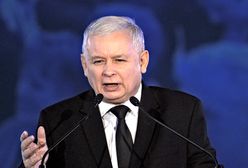 Tajny sondaż PiS. Wynik rozczarowuje