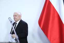 Jarosław Kaczyński zapowiada ofensywę PiS, ale zaznacza: "nie możemy być jak te tłuste, zadowolone z siebie koty"