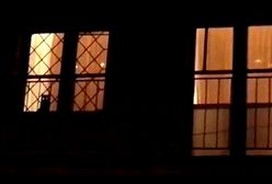 Tłumy przed domem Jarosława Kaczyńskiego, okrzyki "Konstytucja". W końcu do manifestantów wyszedł kot