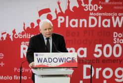 Wybory parlamentarne 2019. 500 plus kartą przetargową rządu. Opłacało się "straszyć"