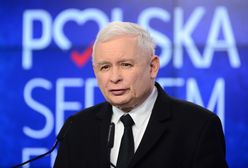 Dzikie krowy z Deszczna. Jarosław Kaczyński zabrał głos