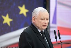 Konwencje i konferencje. Sobota pracująca czterech ugrupowań