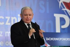 Drużyna PiS pojechała do Szczecina. Wraca z sakwami  "ryb słonych i cuchnących”
