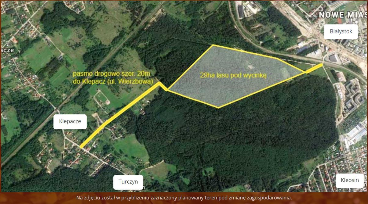 Przeznaczona do wycinki część Lasu Turczyńskiego. W tym miejscu miałby powstać cmentarz. 