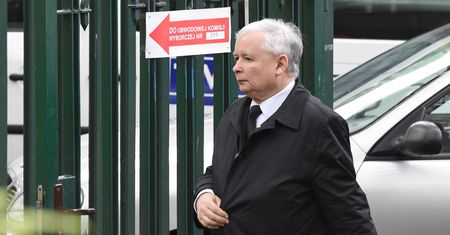 Na razie nikt nie zastąpi prezesa. "Niedźwiedzia boli kolano, ale poza tym nie brak mu sił"