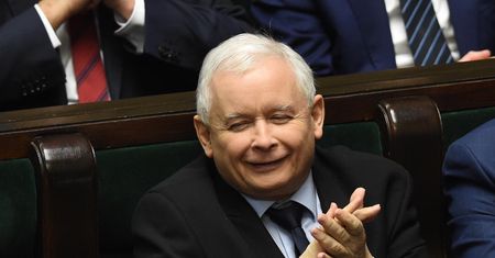 PiS odrabia straty. Najnowszy sondaż
