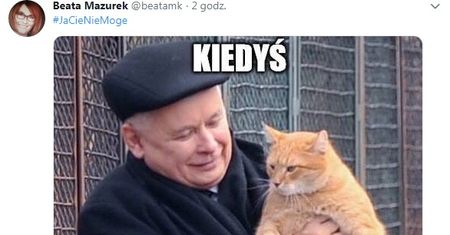 Rzeczniczka PiS "wygrała w internety". Wrzuciła mema prezesa PiS z kotem