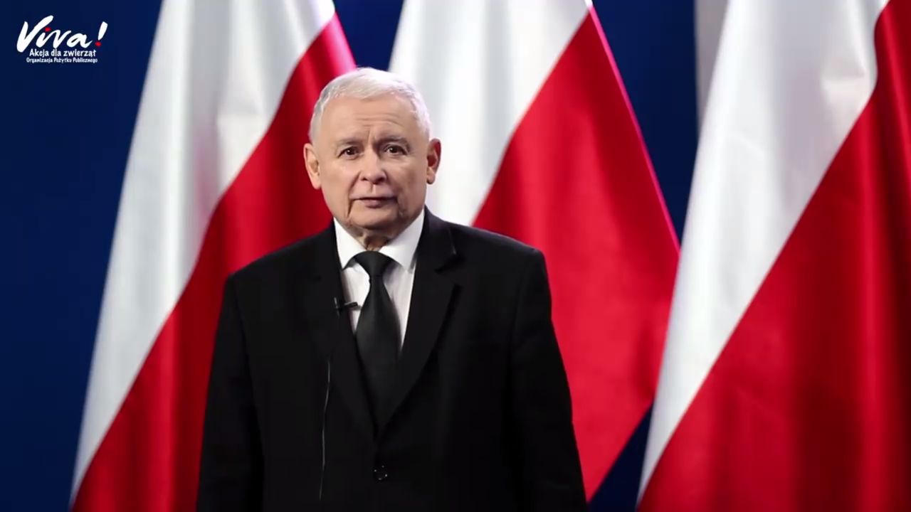 Jarosław Kaczyński podpadł we własnej partii? Ta deklaracja podzieliła posłów