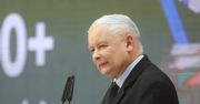 Echa konwencji PiS. Władza ofiarą zawyżonych oczekiwań, Kaczyński walczy o internautów