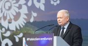 Wybory do Europarlamentu 2019. Polacy zabrali głos. Wiosna rośnie, KE spada