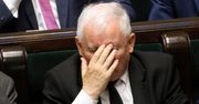 Majmurek: Wygrał Tomasz Grodzki. Dla Kaczyńskiego "nowe" w Senacie to jak cierń w łapie lwa (OPINIA)