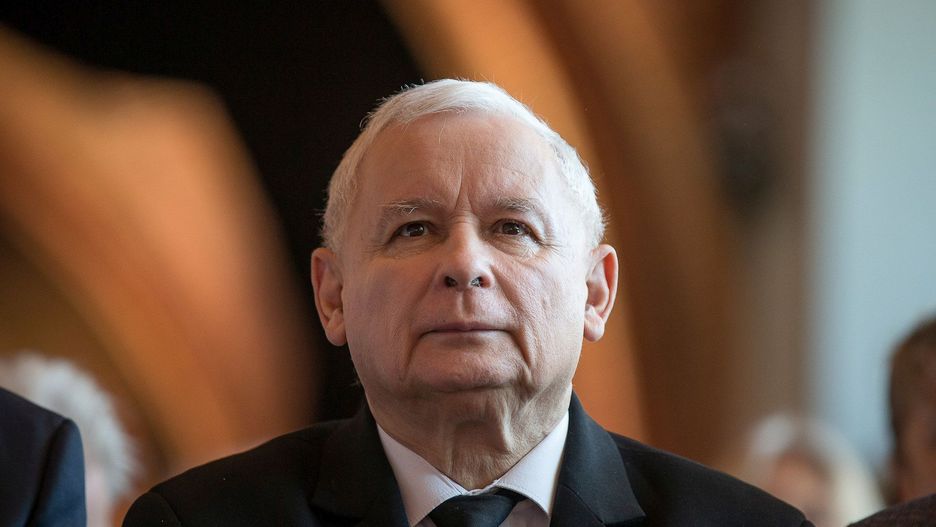 Ujeżdżanie byków - ulubiona rozrywka (przed telewizorem) Jarosława Kaczyńskiego. Tym razem prezes "ujeżdża" kilka równocześnie.