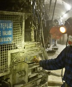 Zatrudnią 200 pracowników (WIDEO)