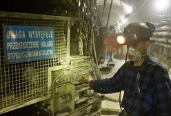 Zatrudnią 200 pracowników (WIDEO)