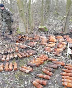 Dolny Śląsk. Podczas wycinki drzew znaleziono 41 skrzyń z rakietami