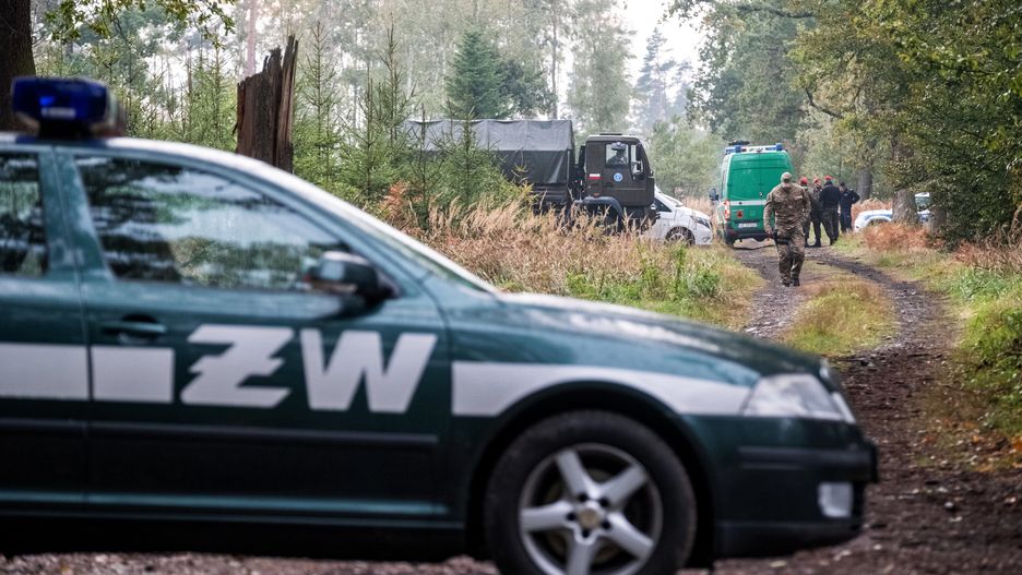 To tu doszło do eksplozji niewybuchu. Las w pobliżu Kuźni Raciborskiej