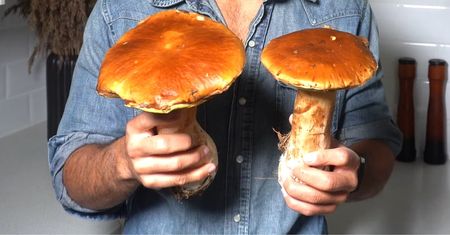 Znajomy grzybiarz zdradził mi 3-minutowy trik na dokładne oczyszczenie grzybów!