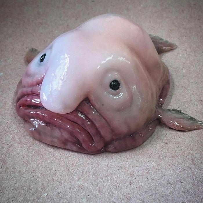 Obrazek