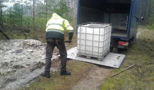 Prawie 700 kg ryb wyrzuconych do lasu. Policja ustaliła sprawcę