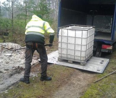 Prawie 700 kg ryb wyrzuconych do lasu. Policja ustaliła sprawcę