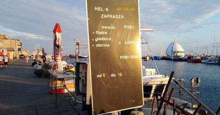 Cała prawda o świeżej rybie nad polskim morzem. Dzięki temu zdjęciu